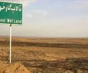 ۹۸درصد از تالاب بین‌المللی گاوخونی خشک شد