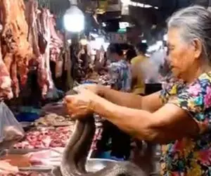 غذای خیابانی؛ ننه بزرگ نترس مار زنده رو برای یه غذای رعب انگیز آماده میکنه