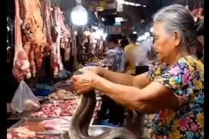 غذای خیابانی؛ ننه بزرگ نترس مار زنده رو برای یه غذای رعب انگیز آماده میکنه