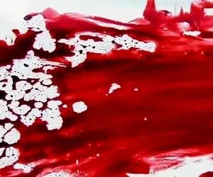 خواننده ای که به قتل پدرش محکوم شد