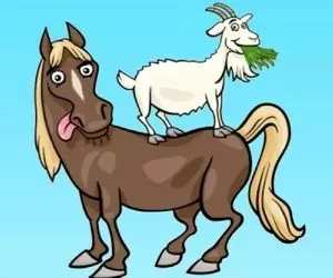 بازی فکری؛ کسی که مغز شرلوک داره می‌تونه سایه دقیق این زوج بامزه بزغاله رو تشخیص بده