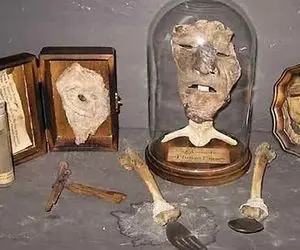 جنون تعرض به اجساد/ قاتلی که از اعضای بدن انسان برای ساخت مبلمان استفاده کرد