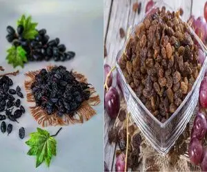 چطور در خانه مویز خوشمزه و سالم درست کنیم؟/ تجربه شیرین و سالم در آشپزخانه شما