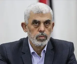 عکس همسر یحیی سنوار رکورد بازدید را شکست