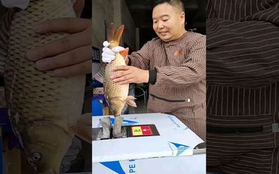 (ویدئو) دستگاه تمام اتوماتیک تمیز کننده ماهی؛ ساخت چین!