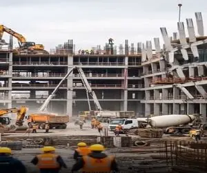 معماری طبیعت؛ مهندسا بعد از این که جلو چشمشون ساختمون پر کشید گریه افتادن