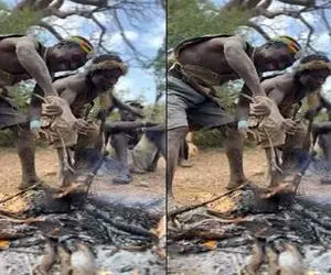 کباب سگ؛ بربرهای برهنه سگ نازنازیشون که مرض شد رو آتیش کباب کردن خوردن