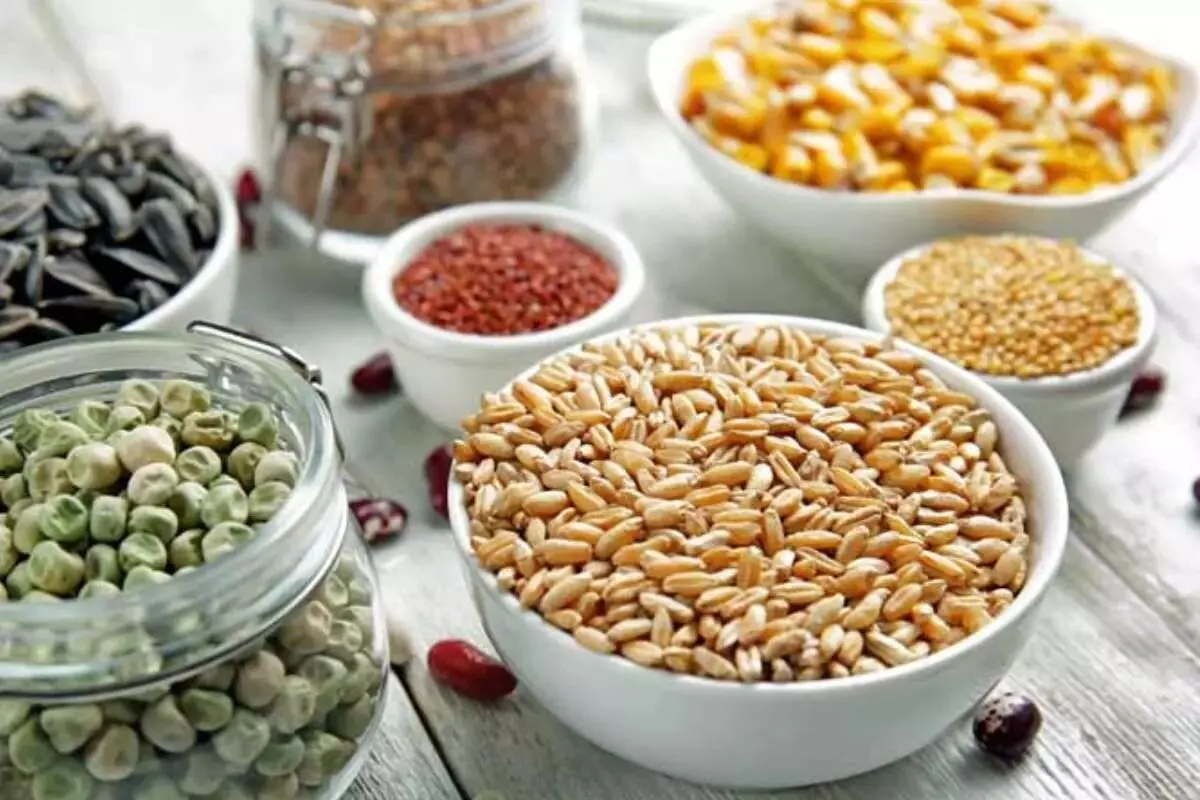 از بین بردن حشره حبوبات