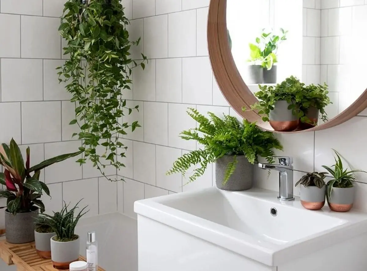 99506b7e-85c2-4026-b11a-5a29a2b017ba