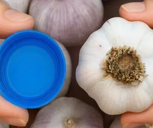ترفندهای خانگی؛ چطور تو ۱۷ ثانیه 17 حبه سیر رو پوست بکنیم؟