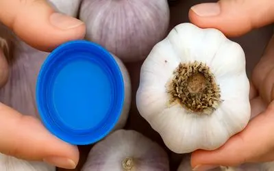 ترفندهای خانگی؛ چطور تو ۱۷ ثانیه 17 حبه سیر رو پوست بکنیم؟