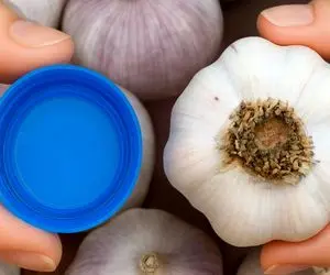 ترفندهای خانگی؛ چطور تو ۱۷ ثانیه 17 حبه سیر رو پوست بکنیم؟