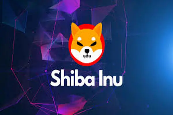 SHIBAINU