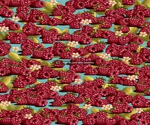 هوش تصویری؛ میگی که زدی رو دست باهوشا پس تُندی توت فرنگی رو تو عکس پیدا کن ببینم!