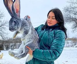 شیکم سفره شده خرگوش بیچاره که یه مرینیت جذاب شد؛ آدم نمیدونه واسش گریه کنه یا بخورتش