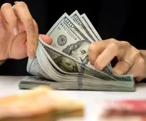 پیش‌بینی قیمت دلار امروز ۱ شهریور ۱۴۰۱؛ دلار ارزان می‌شود؟