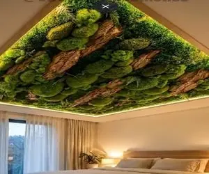 معماری خلاقانه؛ سقف نما جنگل ساختن