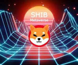 شیبااینو رمز صعود خود را فاش کرد!