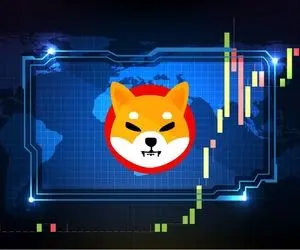 حماسه ای که نهنگ های شیبااینو آفریدند!
