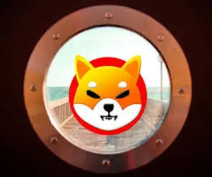 پیش بینی روند شیبااینو!