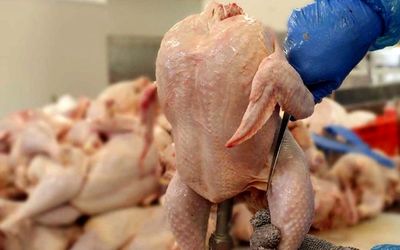 قیمت هر کیلو مرغ در بازار از 100 هزار تومان هم گذشت!