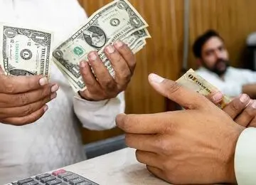 قیمت دلار یورو و تتر امروز شنبه 31 مرداد؛ پیش رویث تا کجا؟