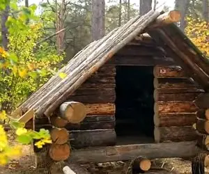 معماری خلاقانه؛ آقاهه و رفیقش با کنده های 100 کیلویی تو جنگل کلبه میسازن شاهانه