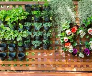 ایده های خلاقانه؛ این باغچه ایستاده ها ترند روزنو صد هیچ از باغچه های کف حیاط جلوترن