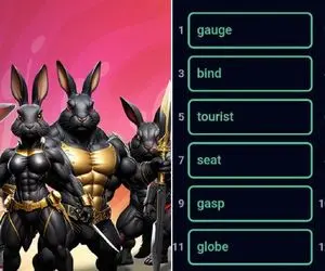 کارت های راکی رابیت (ROCKY RABBIT) امروز چهارشنبه 21 شهریور + آموزش وارد کردن