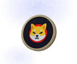 بهترین کار برای شیبااینو چیست؟!