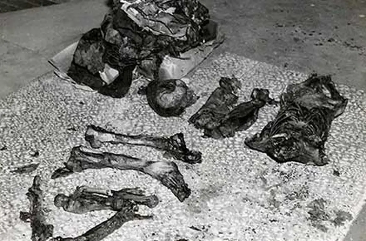 هنری برودوس قاتل سریالی علاقه مند به پا