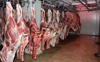 قیمت گوشت گوسفندی سر به فلک کشید؛ هر کیلو ۳۳۰ هزار تومان!