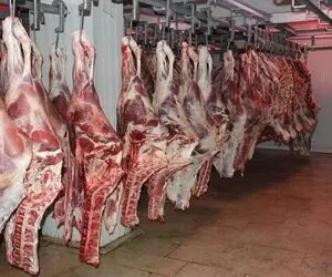 قیمت گوشت گوسفندی سر به فلک کشید؛ هر کیلو ۳۳۰ هزار تومان!