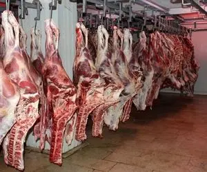 قیمت گوشت گوسفندی سر به فلک کشید؛ هر کیلو ۳۳۰ هزار تومان!