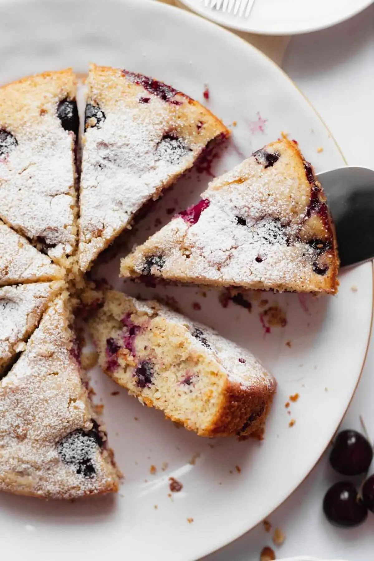 cake-albaloo-6