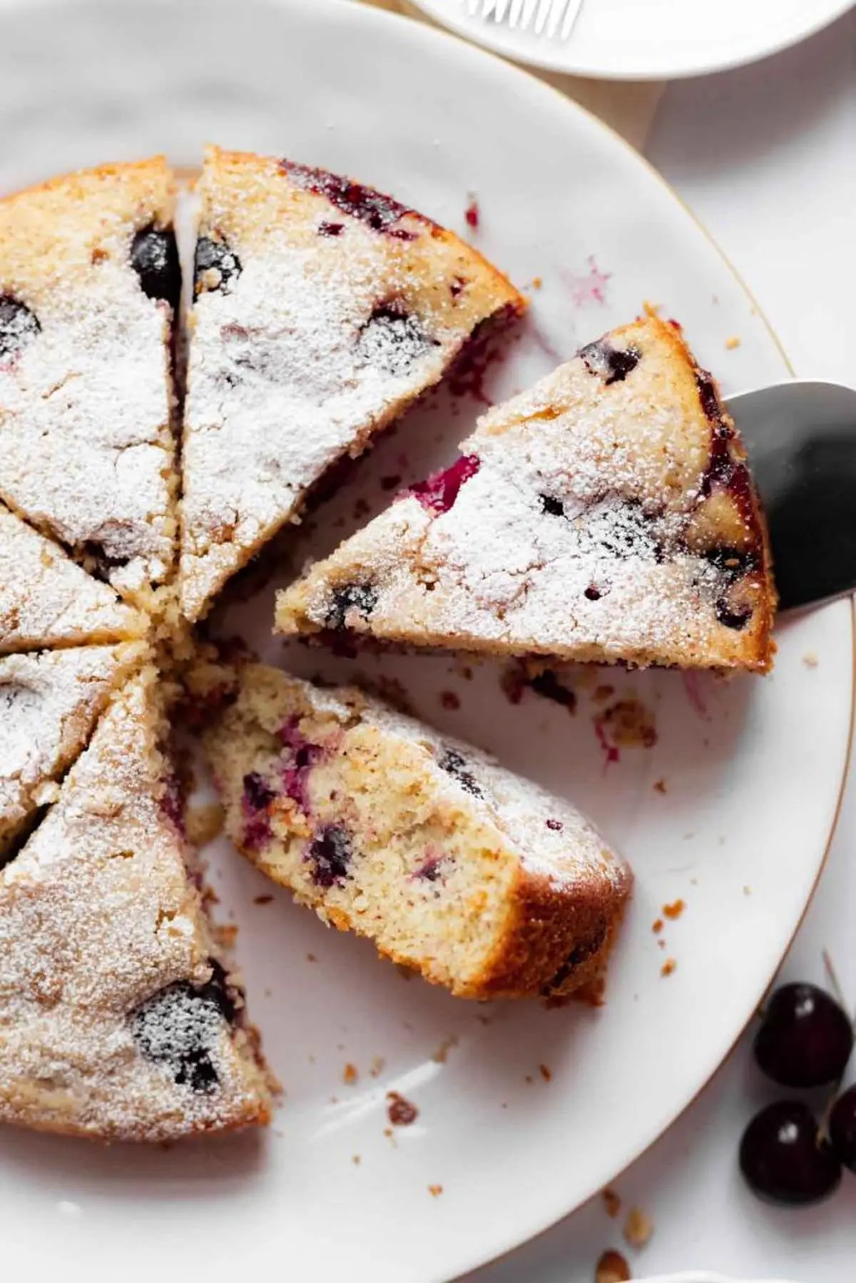 cake-albaloo-6
