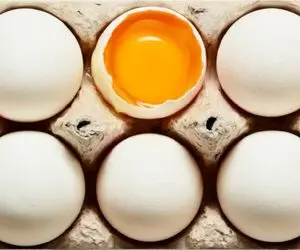 قیمت تخم مرغ امروز شنبه 10 مرداد 1405 + جدول