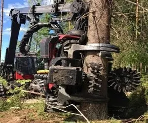 ماشین پرشگفت؛ ببینید این هیولا چجور تو سه سوت درختان رو چندتا چندتا قطع میکنه