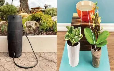 گیاهارو تو سفر چی کار کنیم خشک نشن؟/ با این روشا وقتی خونه نیستی گیاه تشنه نمی مونه