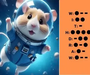 کد مورس همستر کامبت امروز ۱۳ شهریور + آموزش وارد کردن