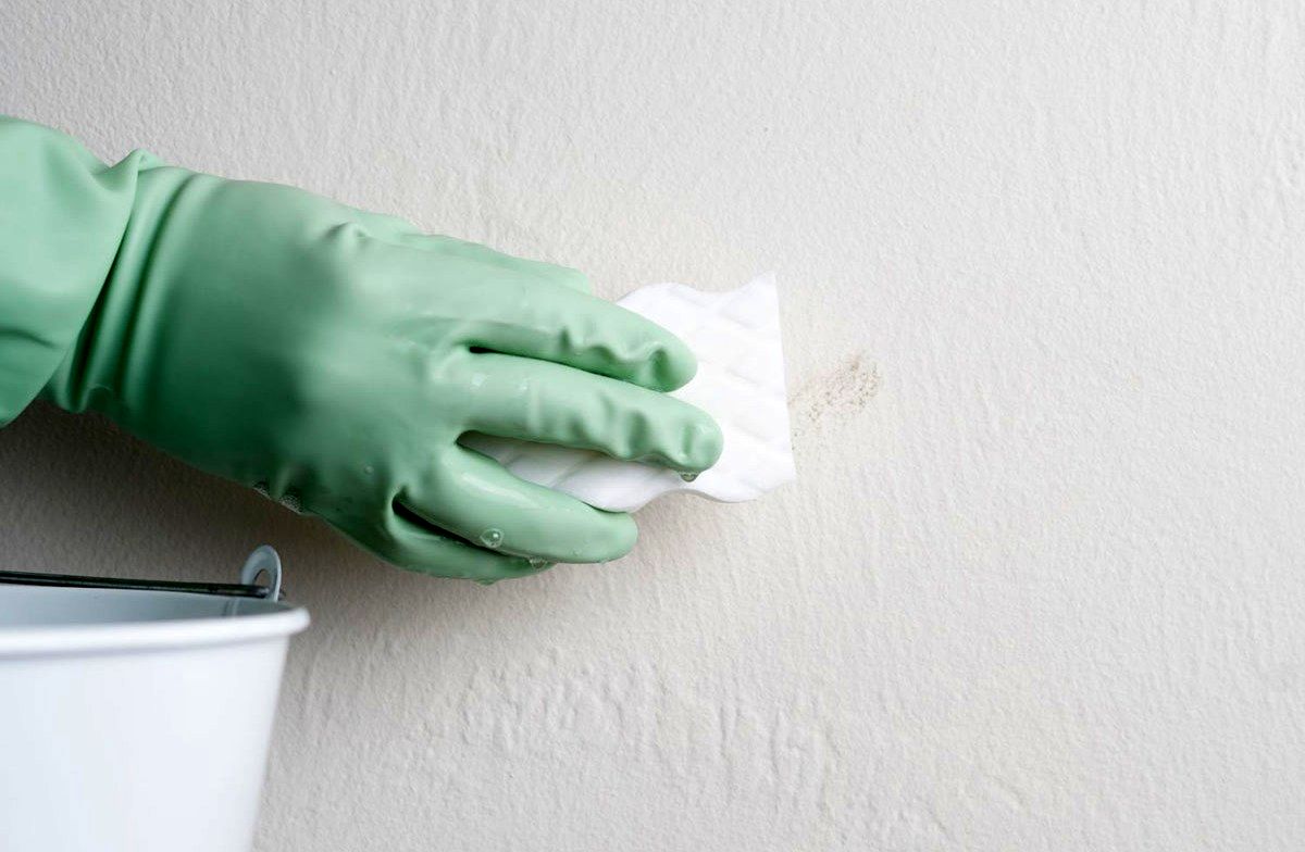cleaning-white-wall-8
