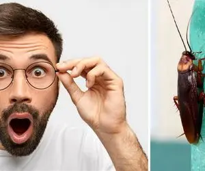 آگاه شو؛ تصورشم نمیتونی بکنی که اگه این موجود چندش نبود چی به سرمون میومد