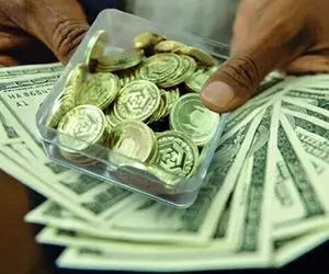 سکه یا دلار؟ با خرید کدامیک سود بیشتری می توان به جیب زد؟