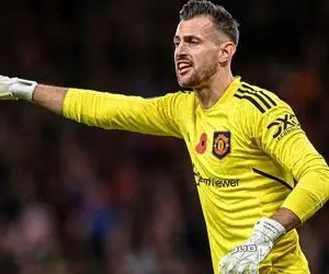 الشباب عربستان به دنبال گلر سابق منچستریونایتد