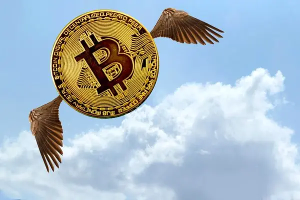 bitcoin arzdigital