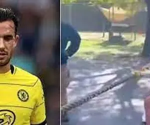 مسابقه طناب کشی مدافع چلسی با ببر جنجال‌ساز شد!