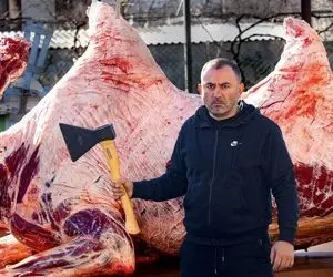 غذای عشایری ؛ پخت شتر دو کوهانه غول پیکر مغولی / به قدری گنده است غذای یه ایله !