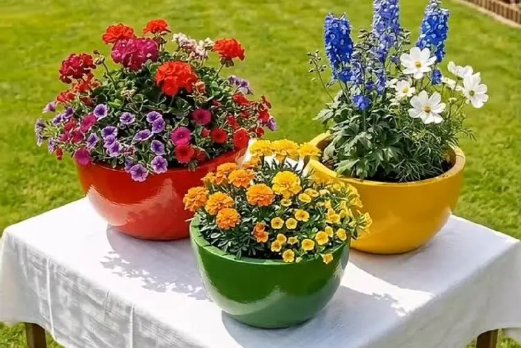 خلاقیت تبحرانه؛ یارو با هندوانه گلدون میسازه دلت میره!