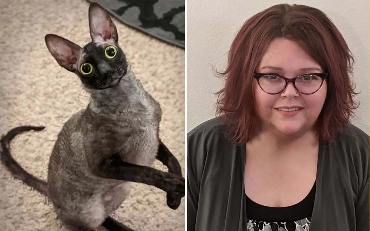 demonic-cat