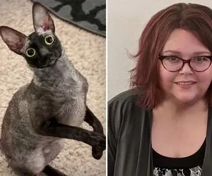 داستان زشت ترین گربه تاریخ؛ این گربه عجیب سحر شده؟  